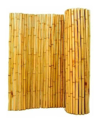 Bamboo Cane Fence Panel 100x120 cm 0