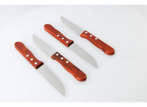 Kitchen Plus Cuchillos De Asado Set X4 Acero Inoxidable Mango De Madera 2