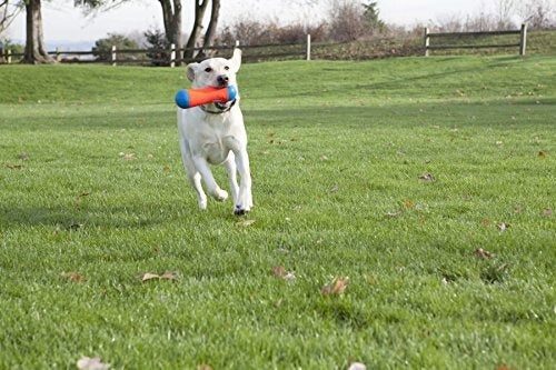 ¡tiralo! Juguete De Perro De Parachoques 4