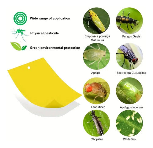 Chromatic Bug Trap Fly Mosquito Adhesive Board 4