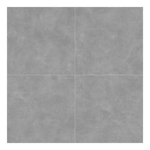 Alberdi Porcelanato Baño Cocina Platino 60x60 1ra 1