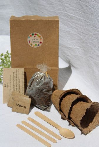 Biodegradable Seed Planting Eco Kit with Biodegradable Pot and Seeds 3