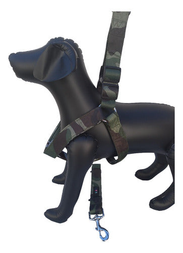 DudiMascotas Camouflaged Padded Chest Harness + Pitbull Rott Leash 0