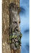 Design Toscano Whispering Wilhelm Tree Ent Wall Sculpture 2