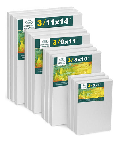 Inburit Set of 12 Canvas Panels for Oil and Acrylic Painting 0