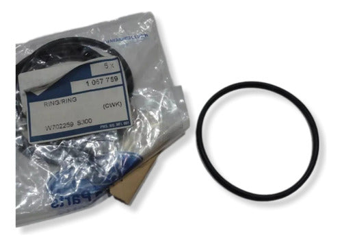 Ford O'ring Water Pump Seal Escort Focus Mondeo Zetec 16V 0