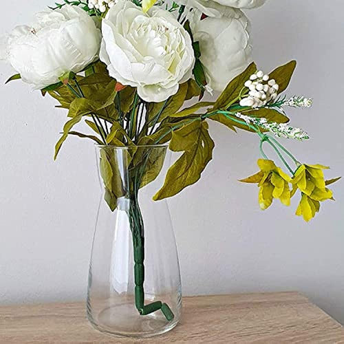 Darenyi Transparent Glass Vase, Flower Pot 0