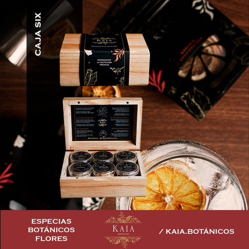 Kit Citrus Botanical Cocktails Kaia with Aconcagua Blanco Gin 1