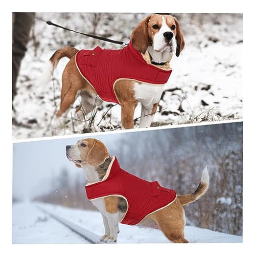 Asenku Warm Winter Coat for Dogs, Lining 4