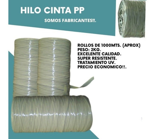 HILO CINTA POLIPROPILENO SUPER RESISTENTE 2KG - PB EMBLAJES - Oferta !!!! 1