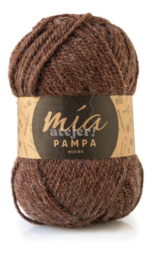 MIA Pampa Merino Semi-Thick Yarn Skein 100 Grams 39