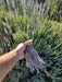 Organic Dried Lavender 1/2kg. Excellent Quality!!! 1