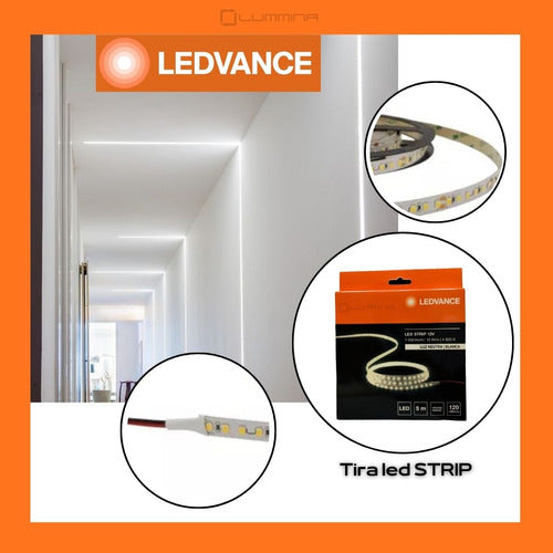 LEDVANCE 5M 12W/m 12V LED Strip Neutral Light IP65 7