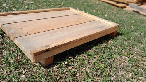 La Abeja Carpintera Material Apiculture Floor and Roof for Beekeeping 2