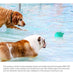 Mundo Peludo Interactive Water Spray Toy for Dogs 6