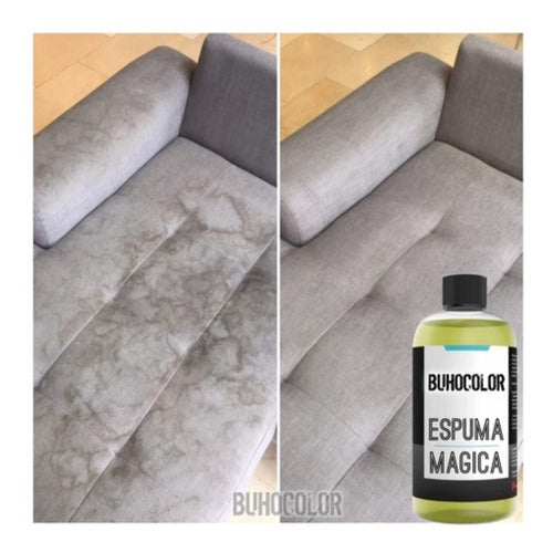 Limpiador Profesional En Gel 500ml + Aplicador 2