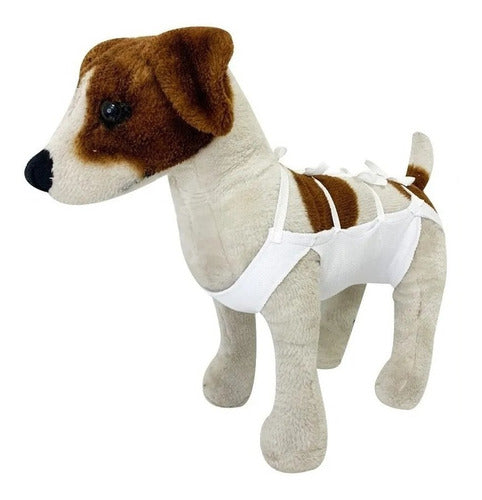 Post-Surgical Vest for Dogs and Cats - Size 8 0