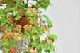 Autumn Ivy Hanging Plant - Artificial Plants - RegalosDeco 3