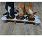 Mundo Cucha Anti-Tip Dog Cat Feeder Water Bowl Triple Height 3