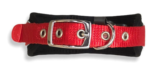 Padded Narrow Dog Collar 8