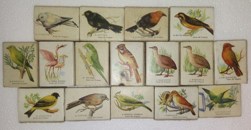 Eb+ Colección De 16 Cajas De Fósforos: Aves Uruguayas 0