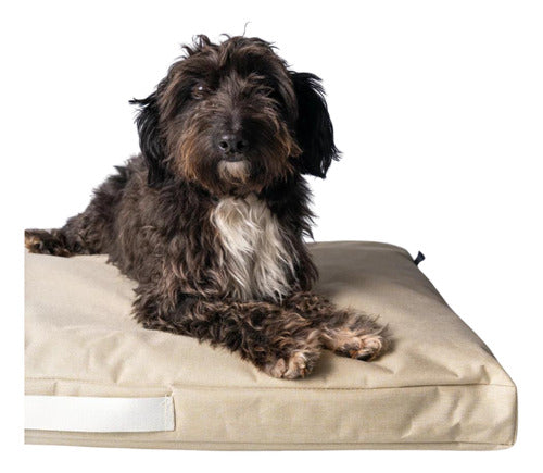 Marko Premium Anti-Scratch Mattress T1 85 X 55 Cm for Medium Dogs 3