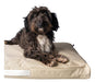 Marko Premium Anti-Scratch Mattress T1 85 X 55 Cm for Medium Dogs 3