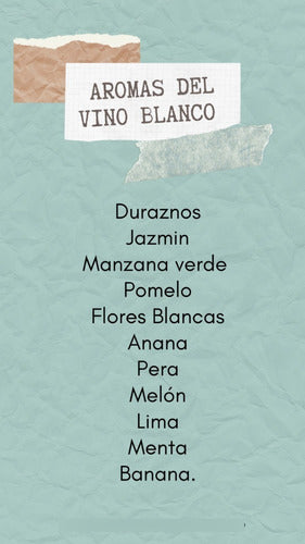 Kit De Aromas Del Vino Blanco 2