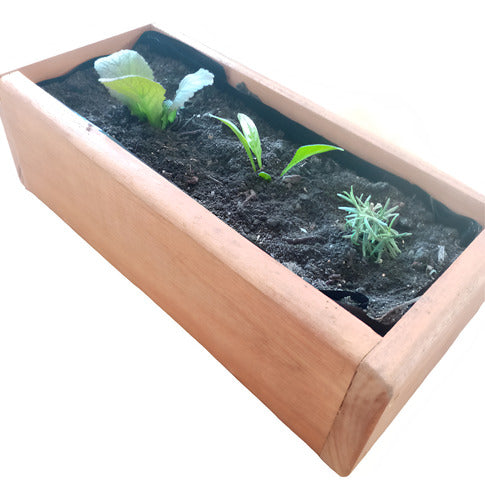 Huertahogar.uy Mini Wooden Garden with 3 Plants 0