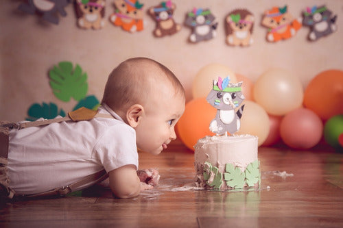 Promo Sesion De Fotos 1 Añito. Book Bebes Smash Cake. Torta 1