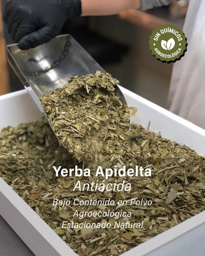 Yerba Apidelta 1kg Agroecologica Antiacida Baja En Polvo X3 1