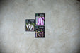 KM 100 Pack 10 Organic Seed Envelopes - Your Choice! 3