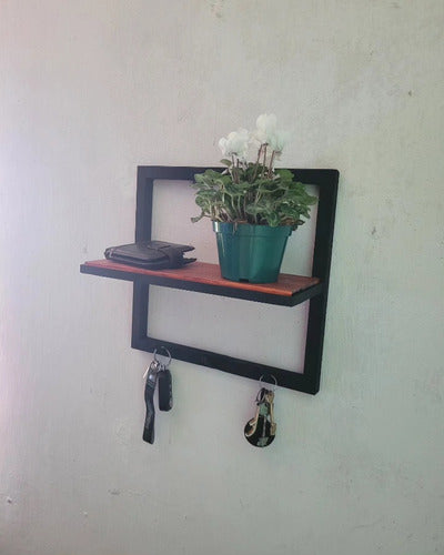 Herreria FB Rustic Iron and Wood Shelves 5