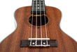 Magma Soprano Ukulele with Armored Tuners + Case 2