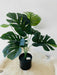 Planta Artificial Costilla De Adam 45 Cms Con Maceta Deco 1