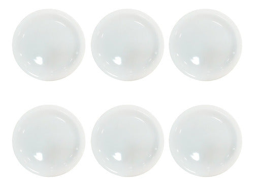Set of 6 Tsuji 21cm Narrow Rim Porcelain Flat Plates - Line 450 0