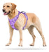 Poypet Dog Harness No Pull, Vest 2