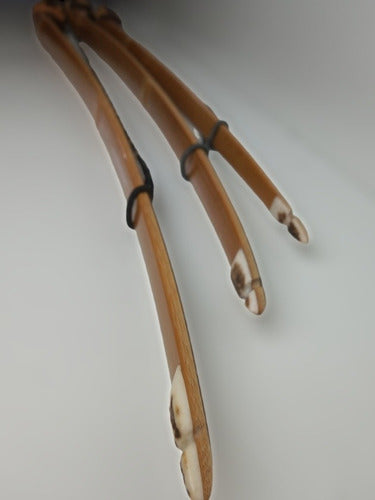 Traditional Deflex-Reflex Ambidextrous Longbow for Kids 48 inches 4