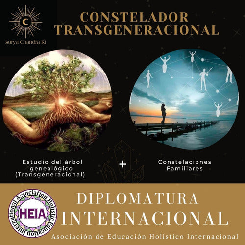 Complete Course on Transgenerational Family Constellations 0