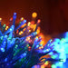 Luces Led Navidad Exterior Multicolor Con Enchufe 100m 6