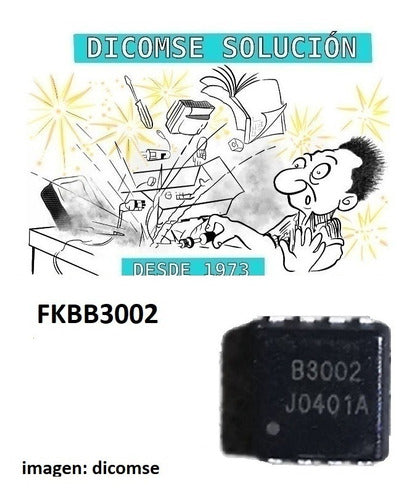 FKBB3002 B3002 3002 0