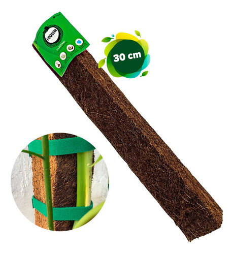 Estaca Tutor De Fibra De Coco Coquim Com Fita Velcro - 30 Cm 1