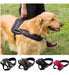 Petdog Control Harness for Dogs - Padded Size L with Car Belt 5