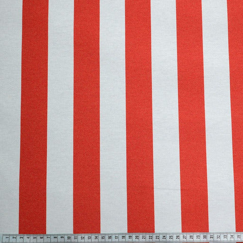 Printed Canvas Fabric (Width 1.50 M) Per Meter 77