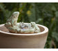 Foreside Home And Garden Multicolor Ceramic Frog Fuente De A 3