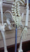 Mini Skeleton 85cm Height 4