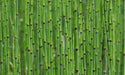 Ohana Arte Natural Equisetum Cola De Caballo Envase De 4 Litros 1