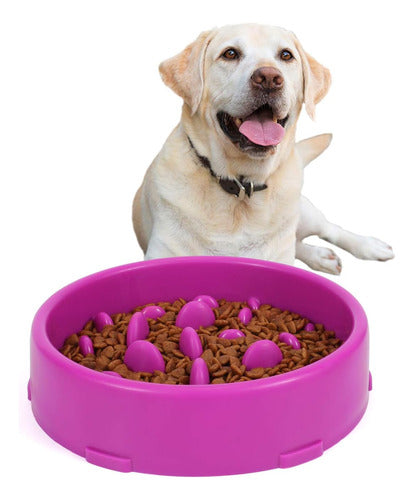 Jasgood Medium Slow Feeder Dog Bowl, Purple 0