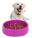 Jasgood Medium Slow Feeder Dog Bowl, Purple 0