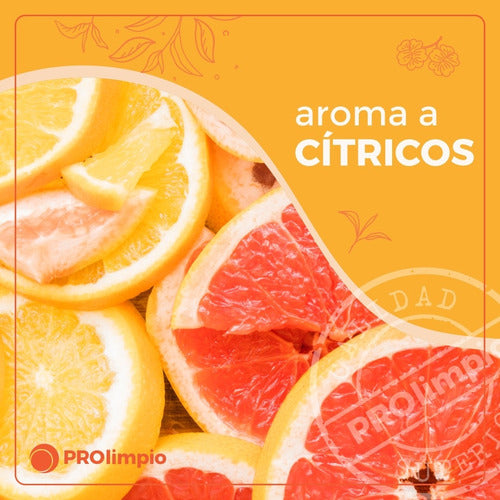 Prolimpio Perfumador Liquido Para Telas De Cítricos 1lt 2